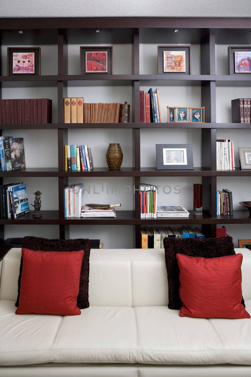 Couch in front of shelves in a living room