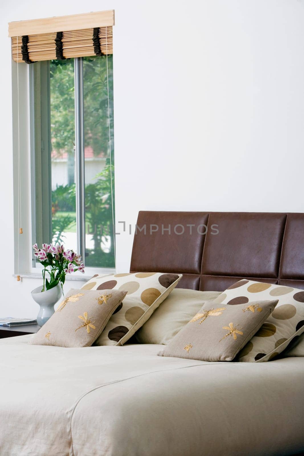 Cushions and pillows on the bed