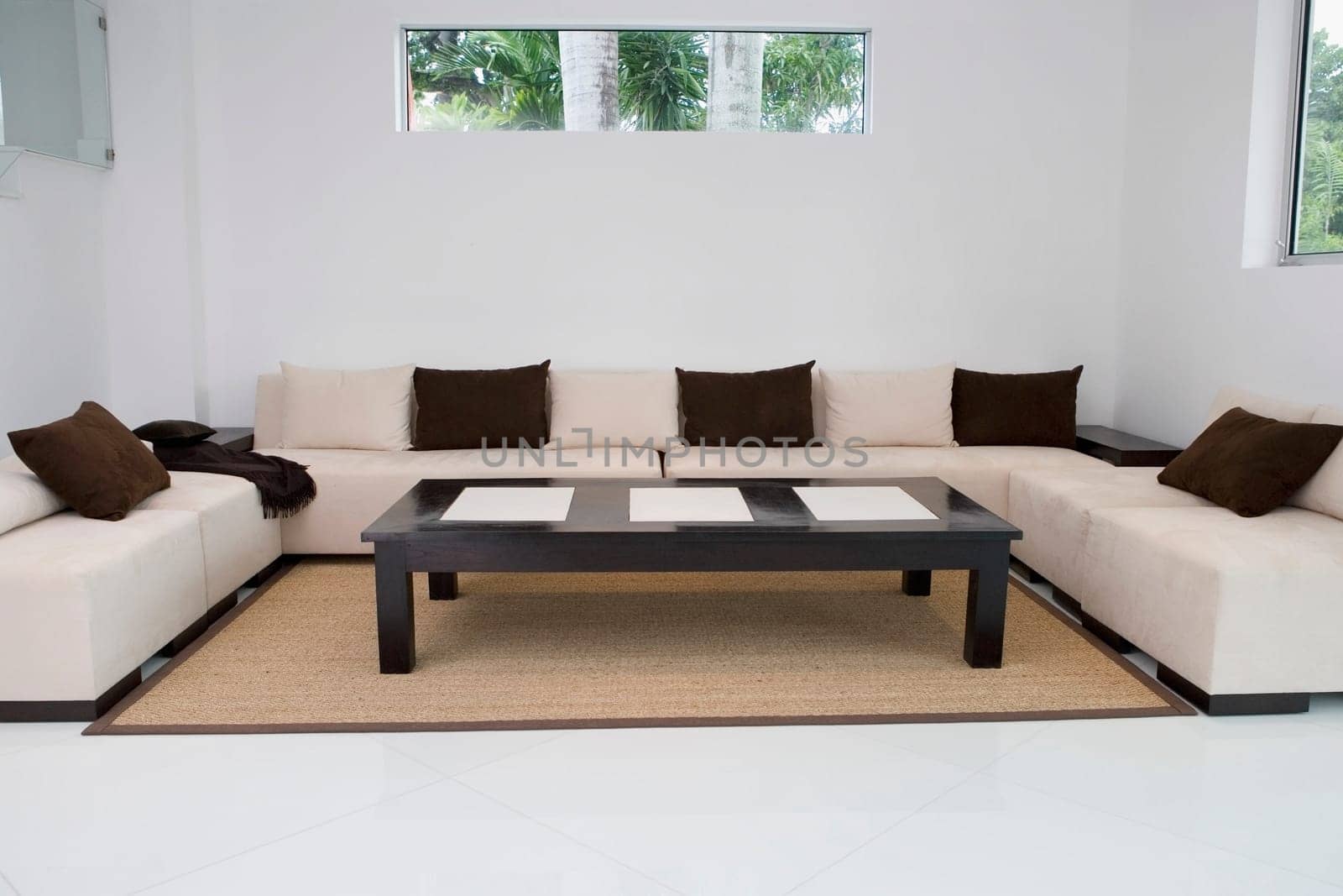 Interiors of a living room