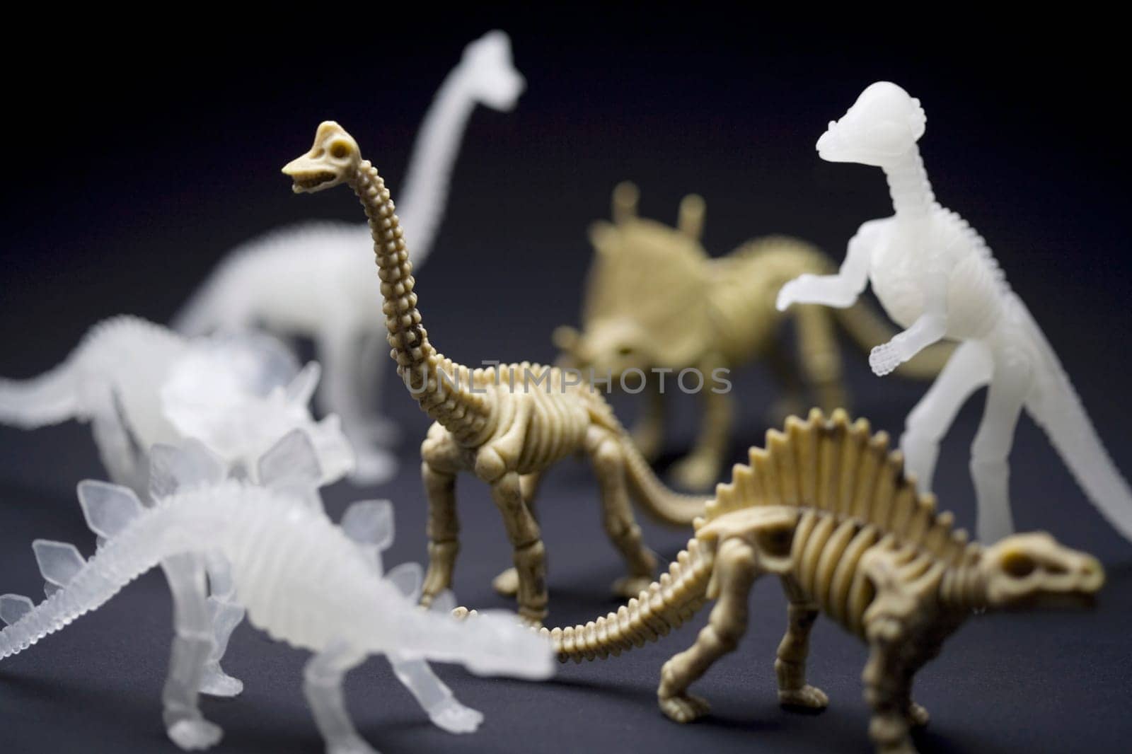 Close-up of models of dinosaurs