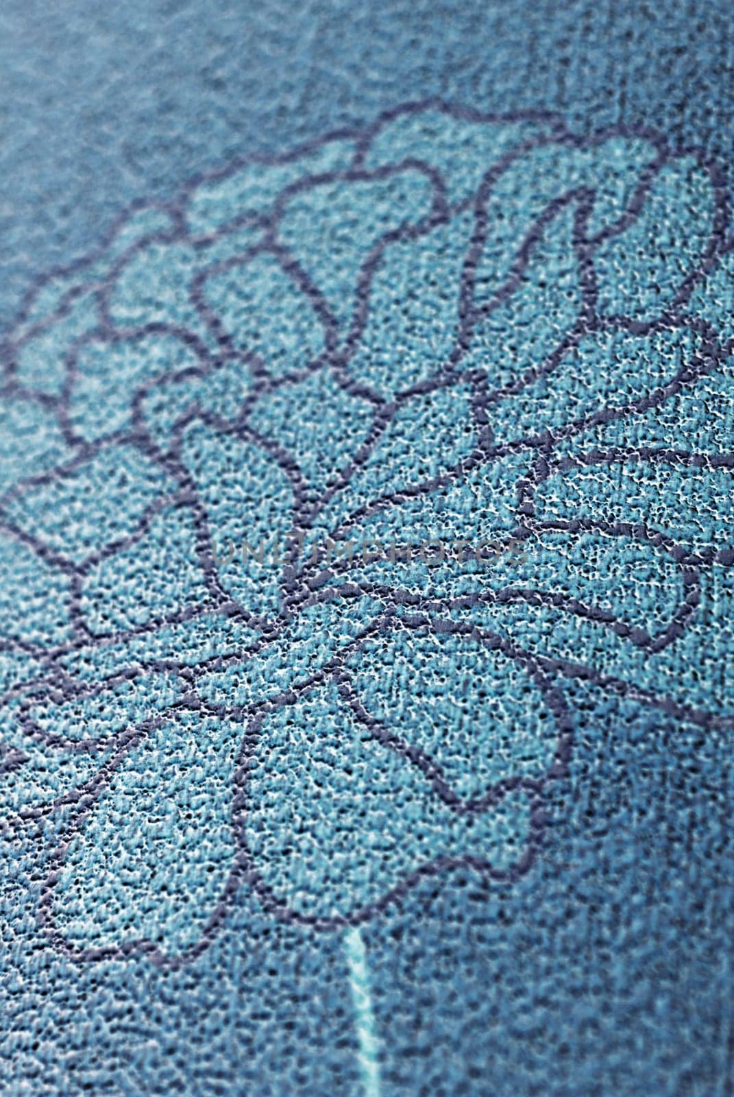 Close-up of a floral pattern
