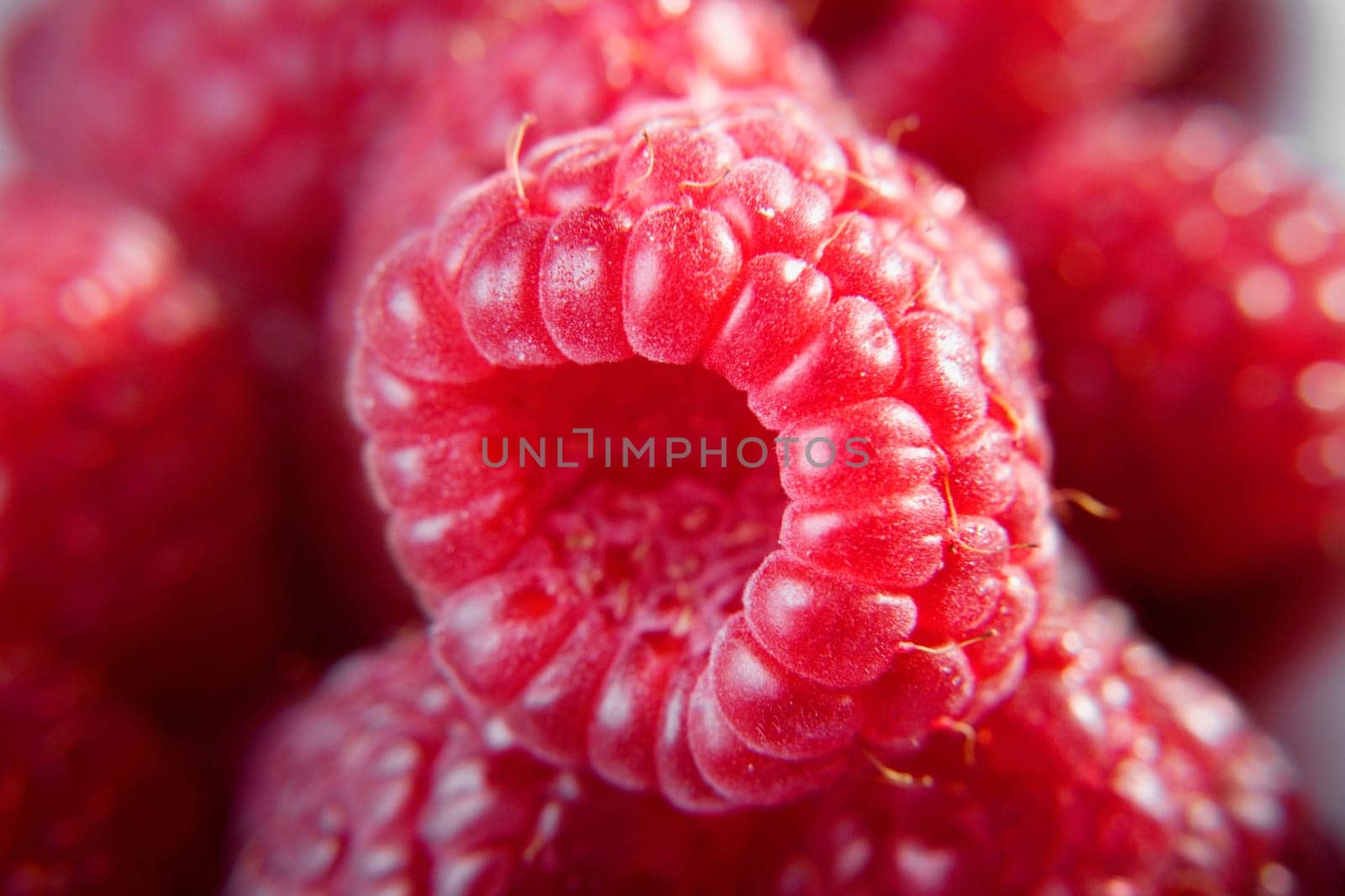 Close-up of raspberries