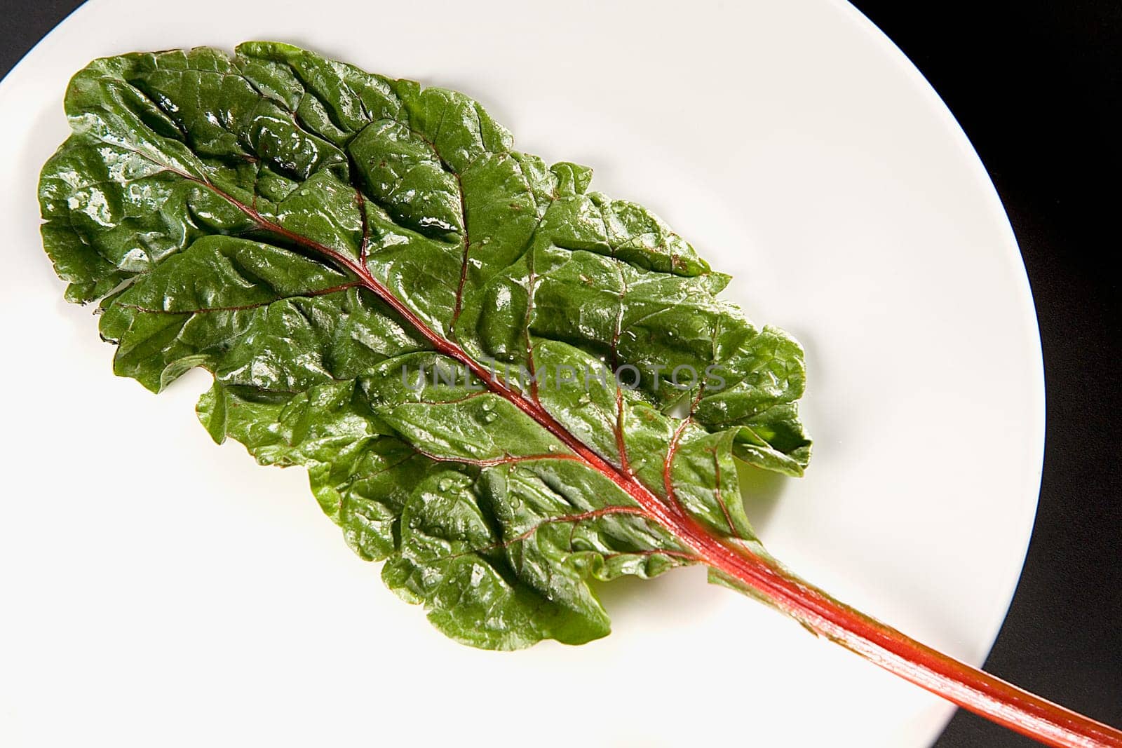 Close-up of a leaf in a plate