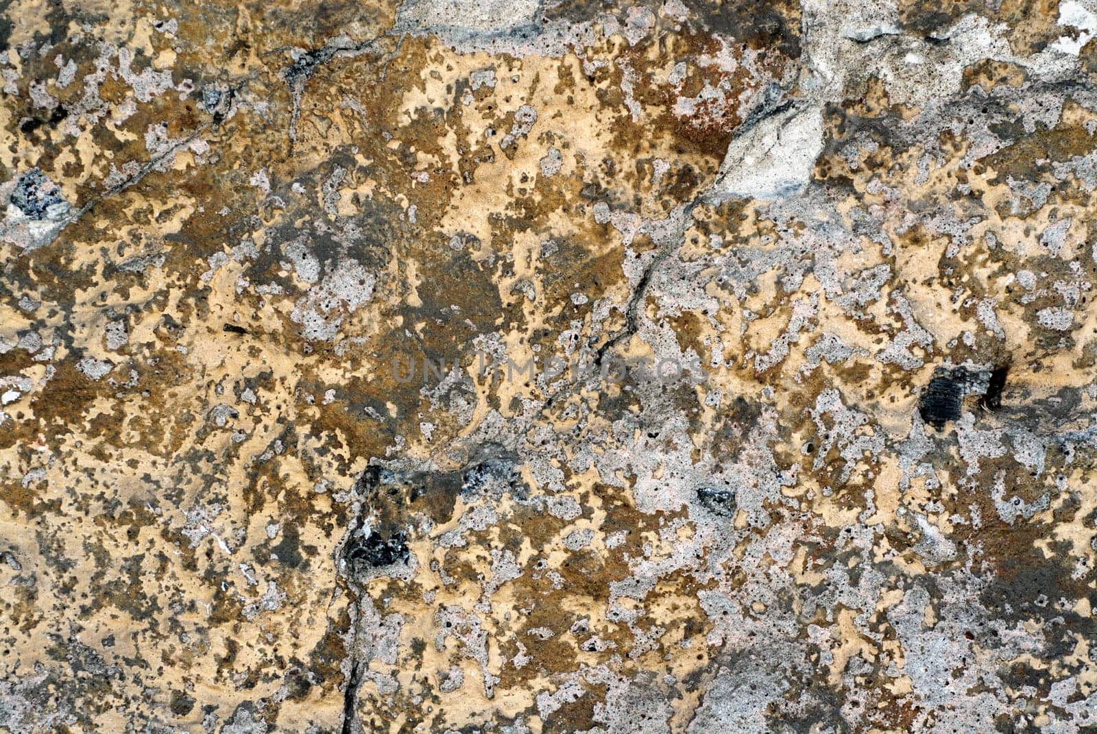 Close-up of a cracked plaster
