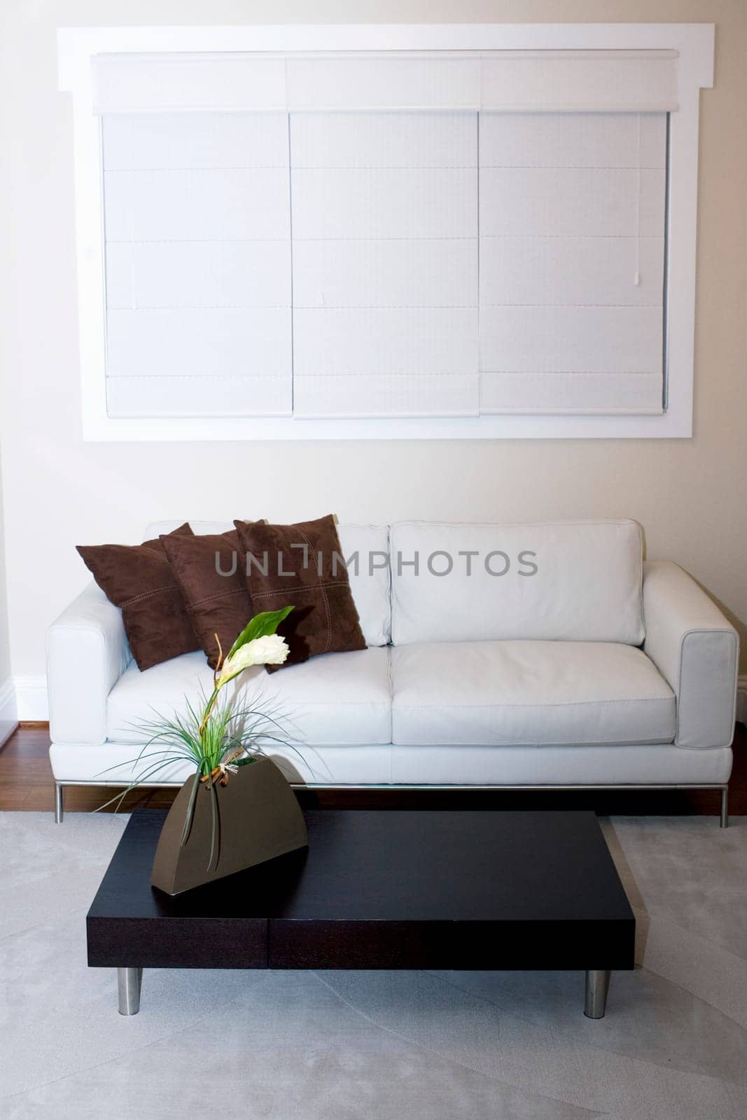 Interiors of a living room