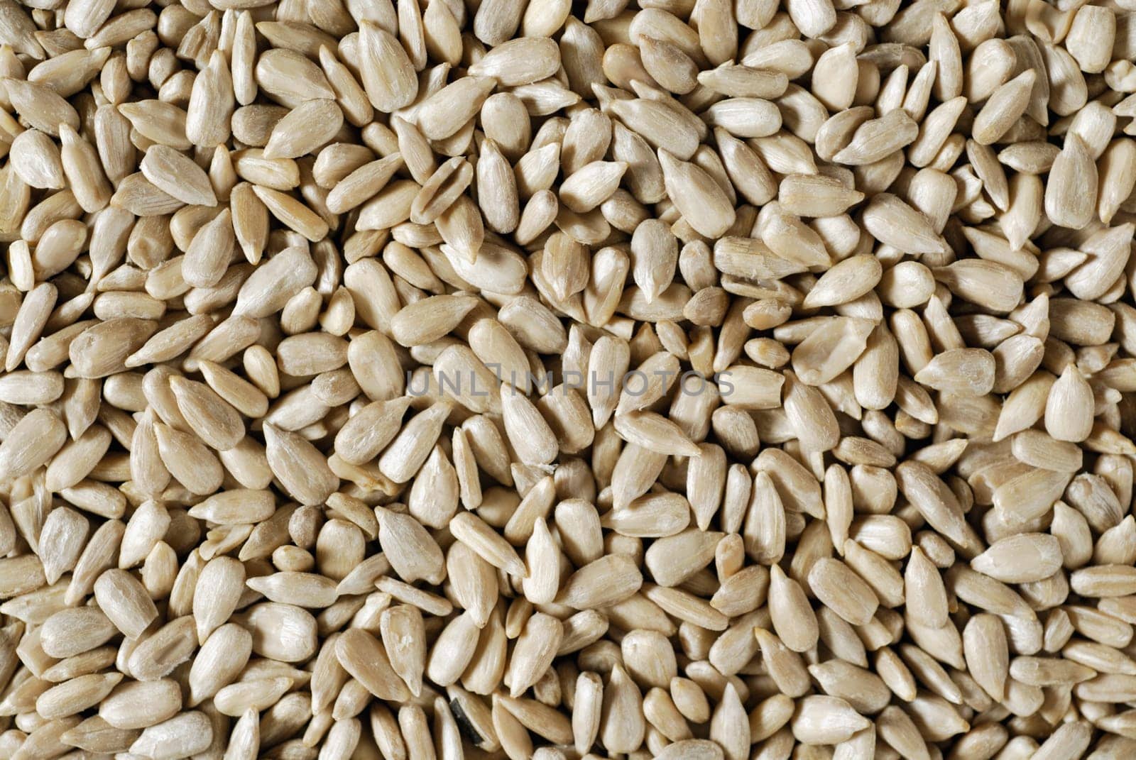 Close-up of seeds