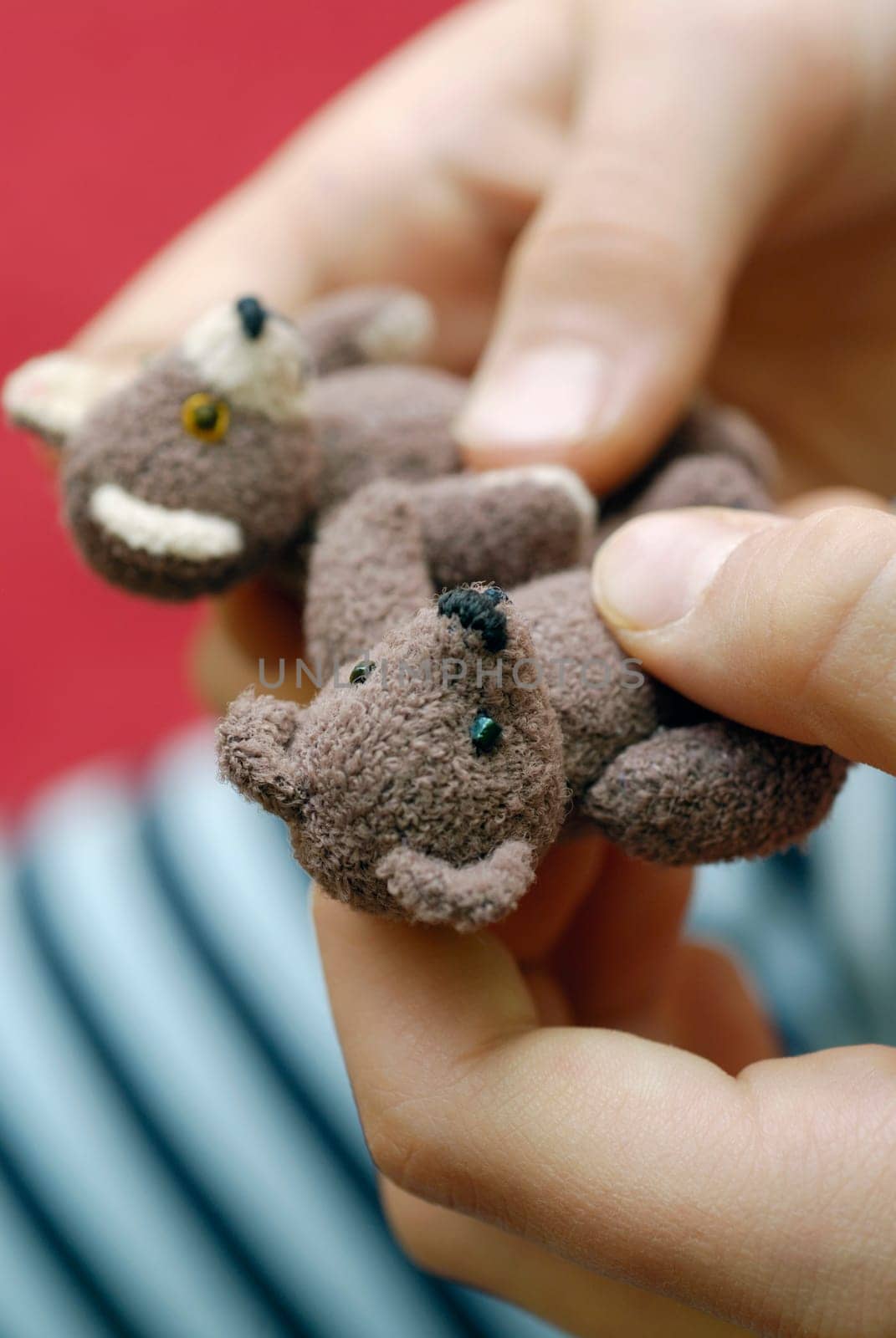 Close-up of a personŽs hands holding teddy bears
