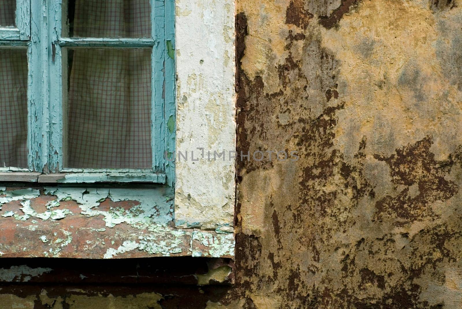 Close-up of a window