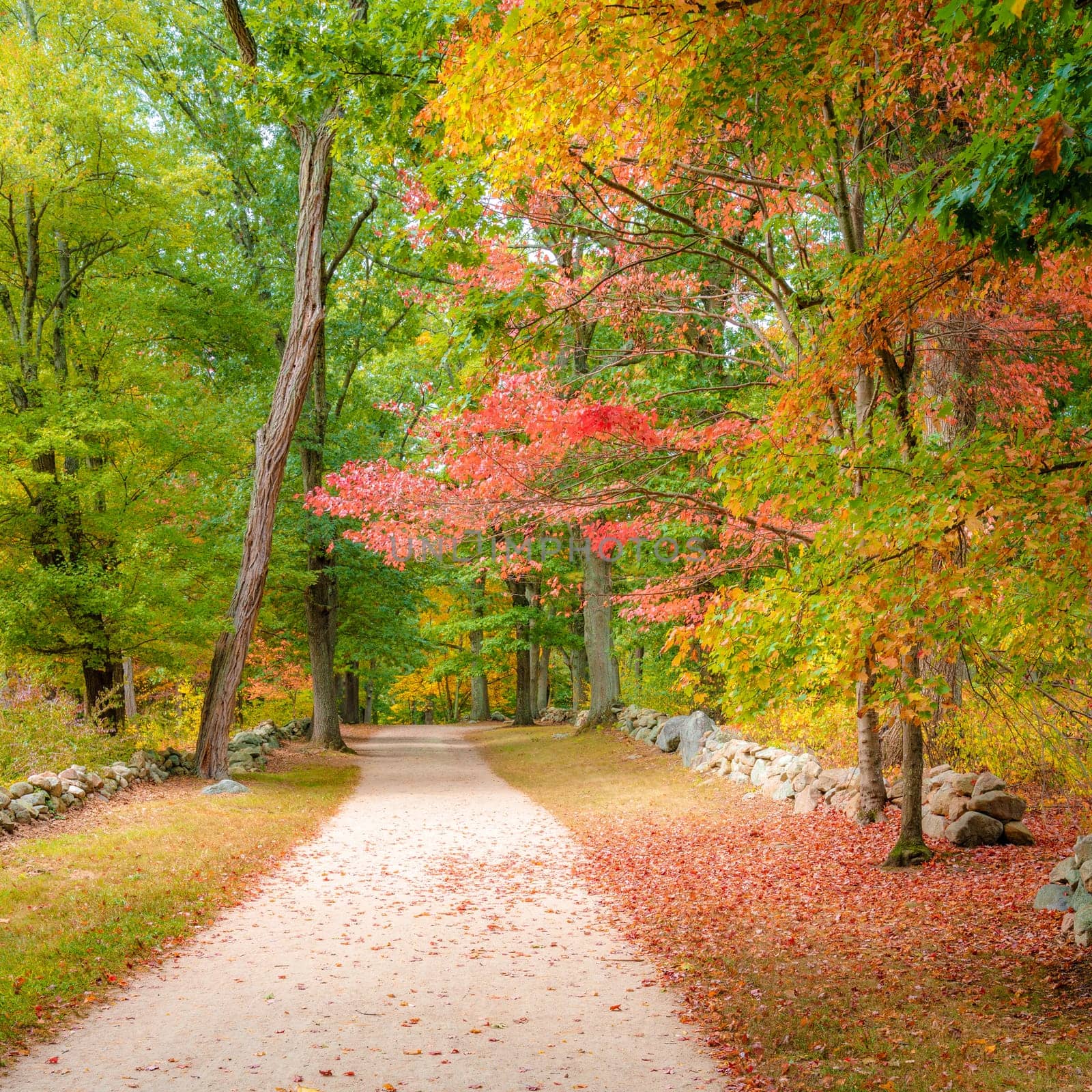 Historic Battle Road Trail in Minute Man National Historical Park, Lincoln, Massachusetts