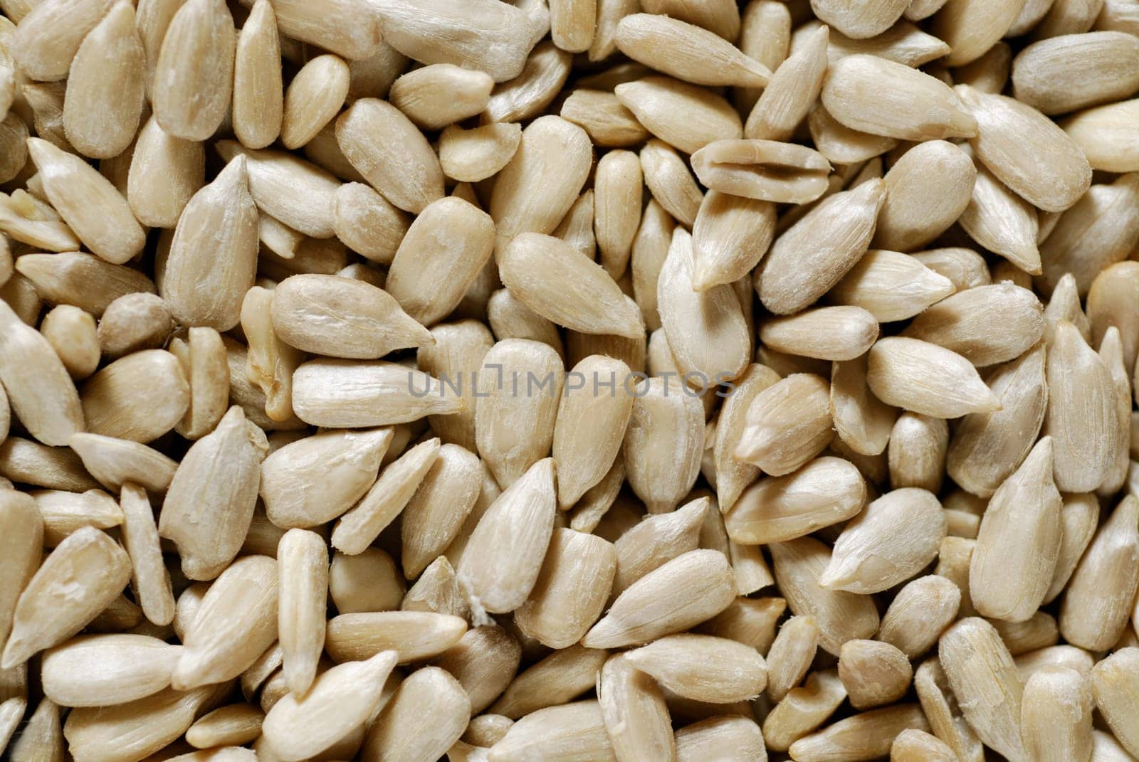 Close-up of peanuts