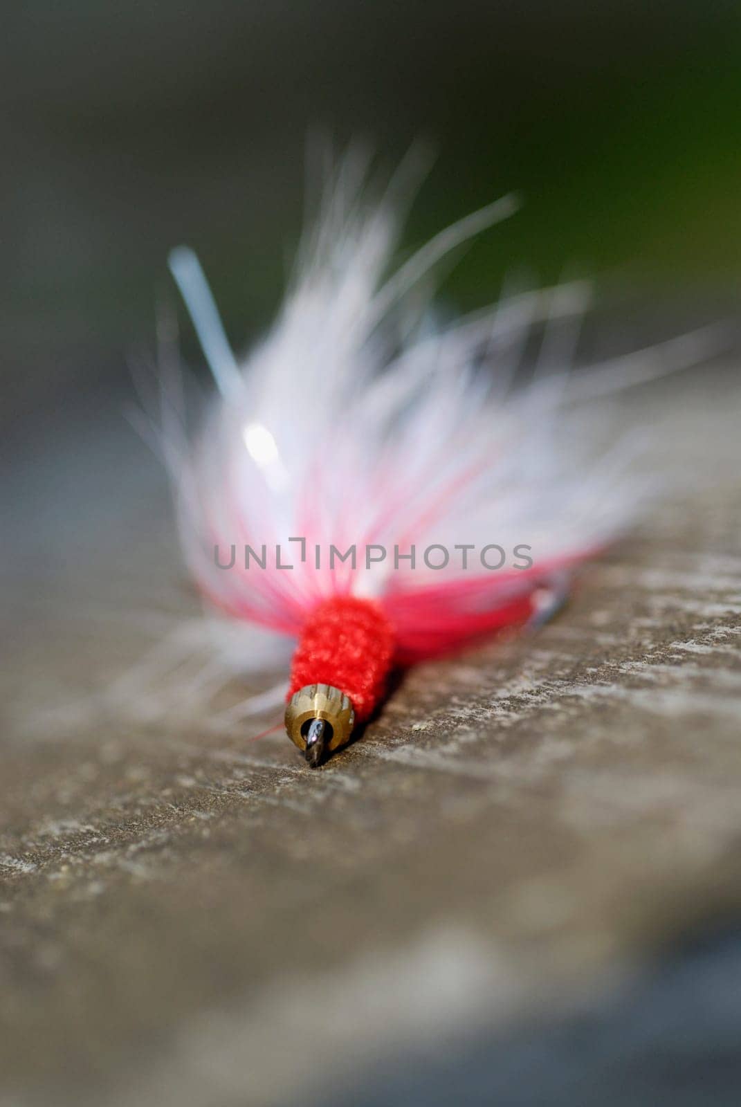 Close-up of a fishing lure