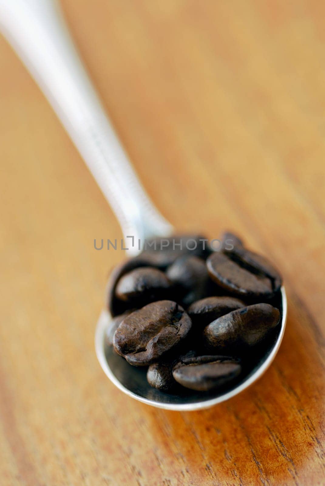Close-up of coffee beans in a spoon