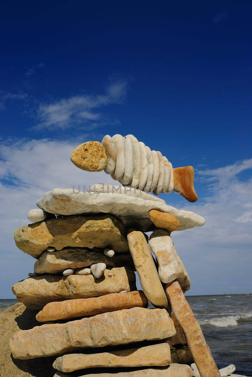 Low angle view of pebbles arranged in a fish shape