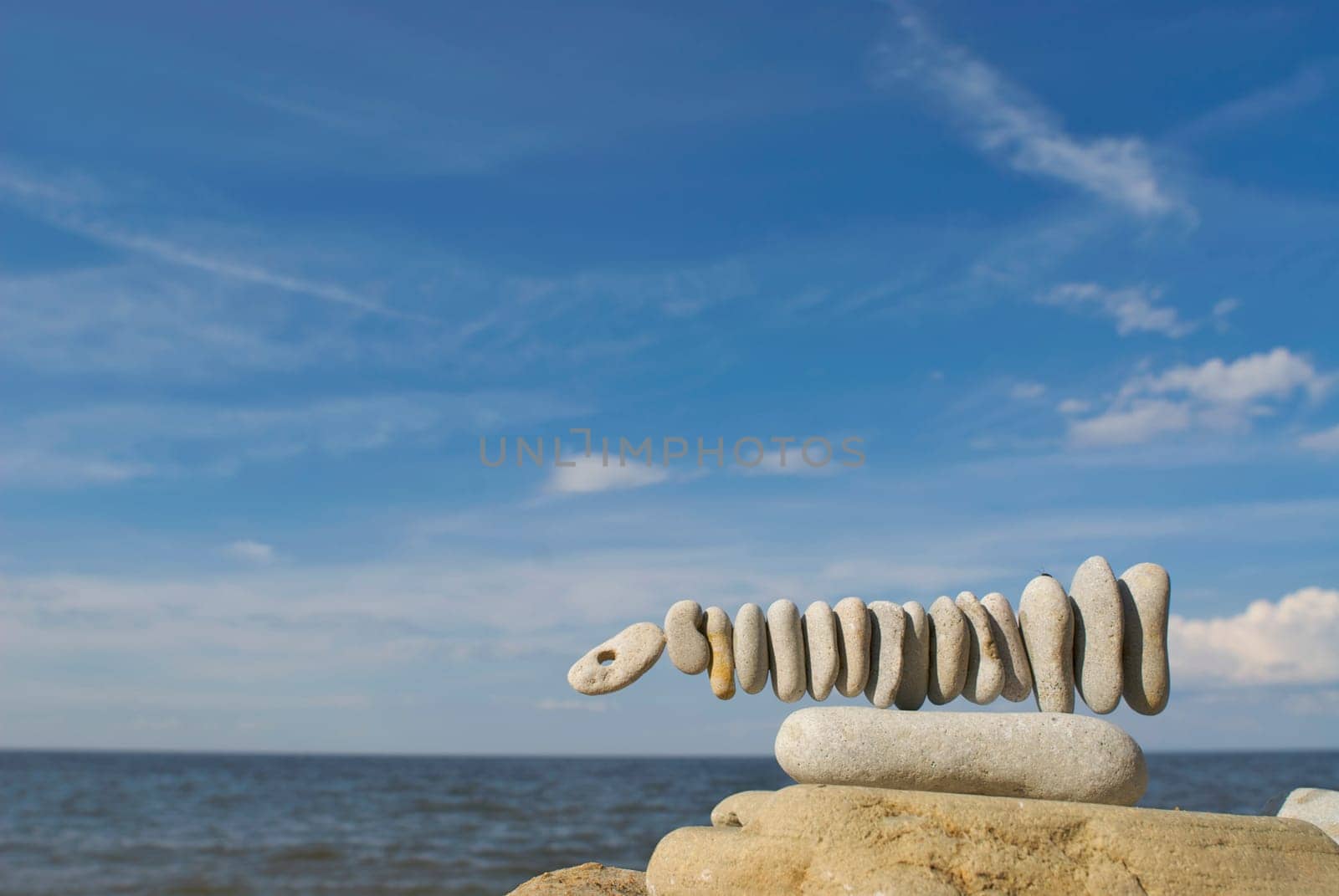 Pebbles arranged in animal shape
