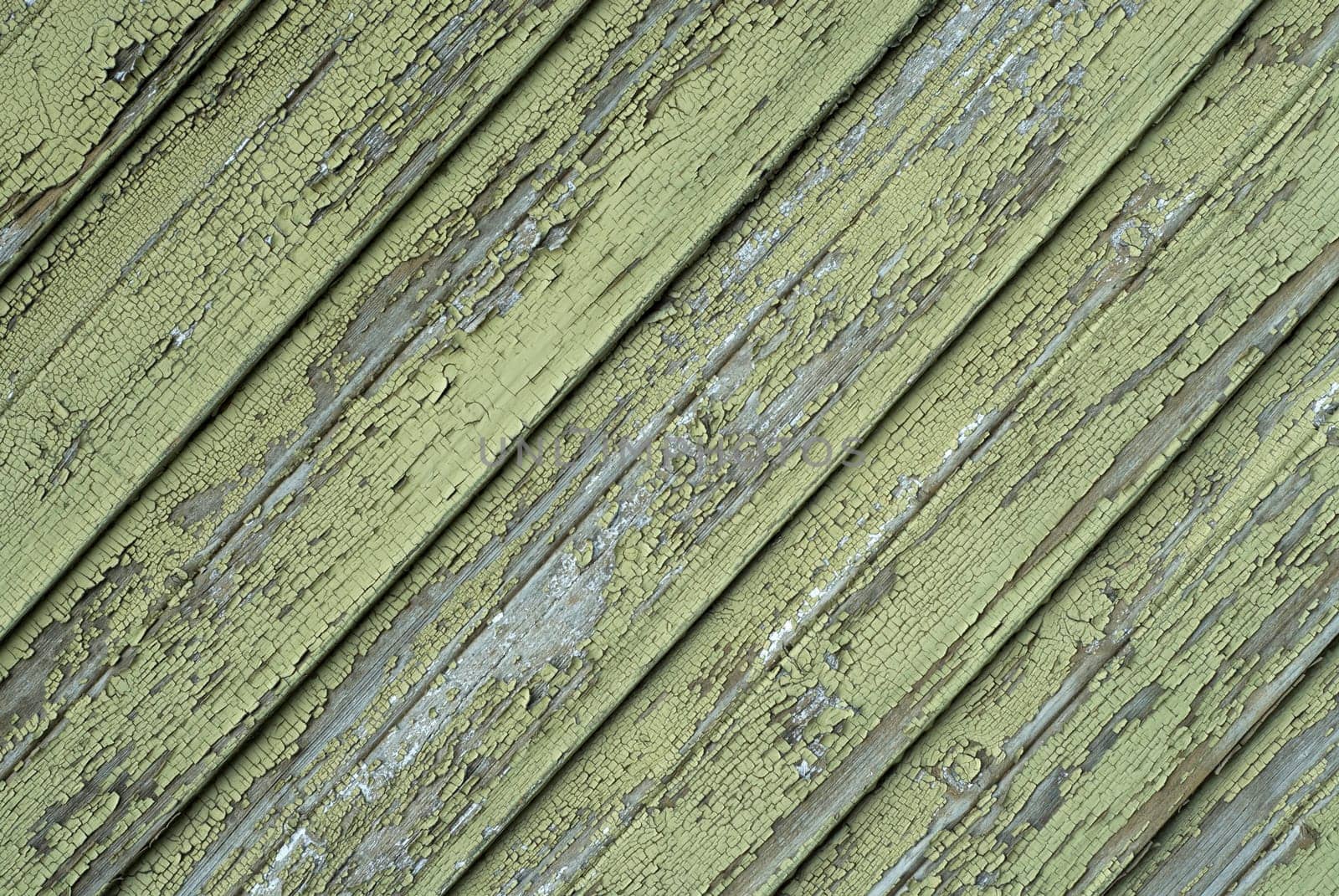 Close-up of a wooden surface