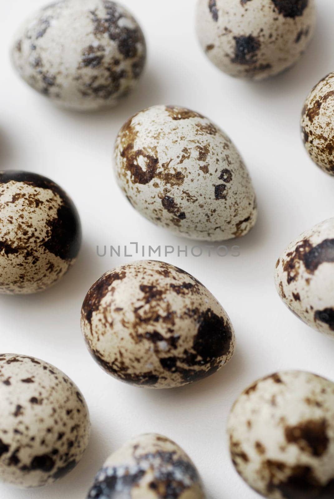 Close-up of quailŽs eggs