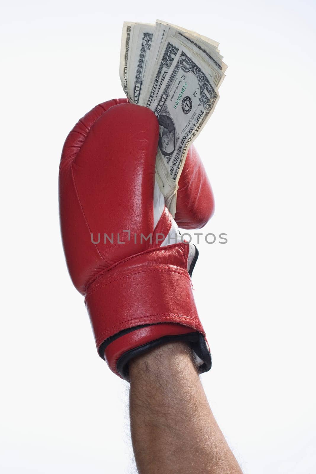 Male boxerŽs hand holding US dollar bills