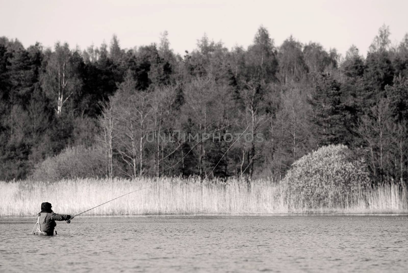 Rear view of a man fishing in the river