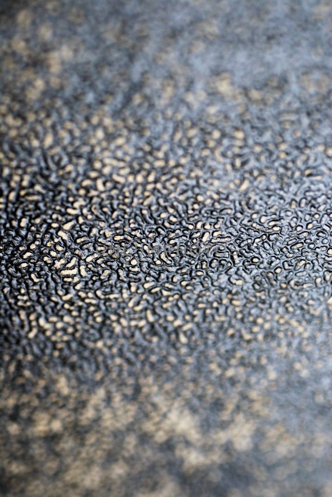 Close-up of a textured pattern