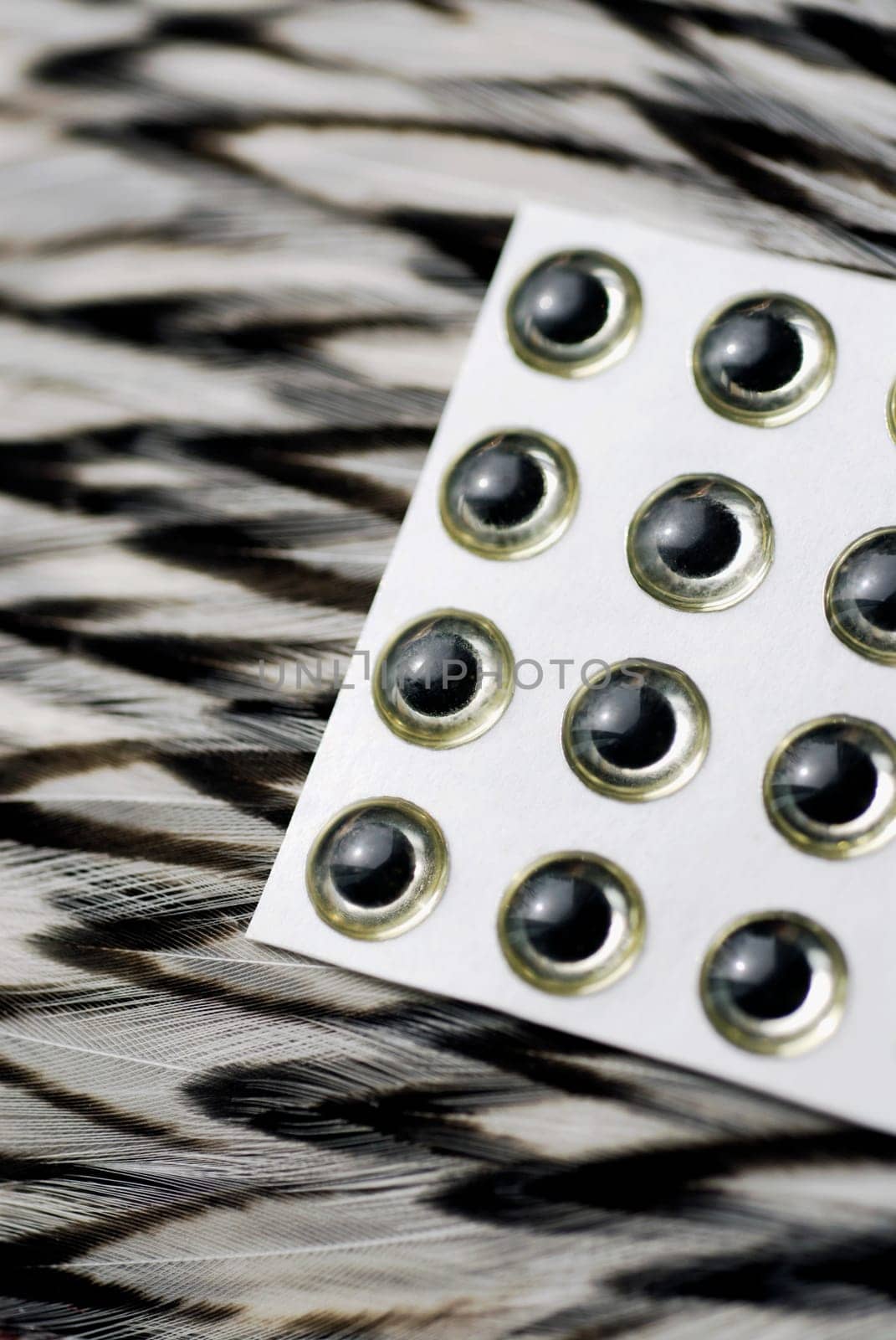Close-up of glass eyes and a feather