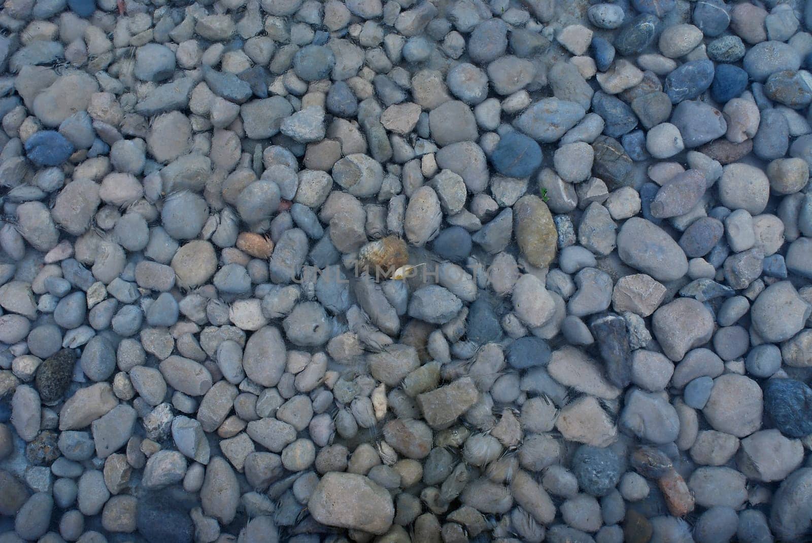 High angle view of pebbles