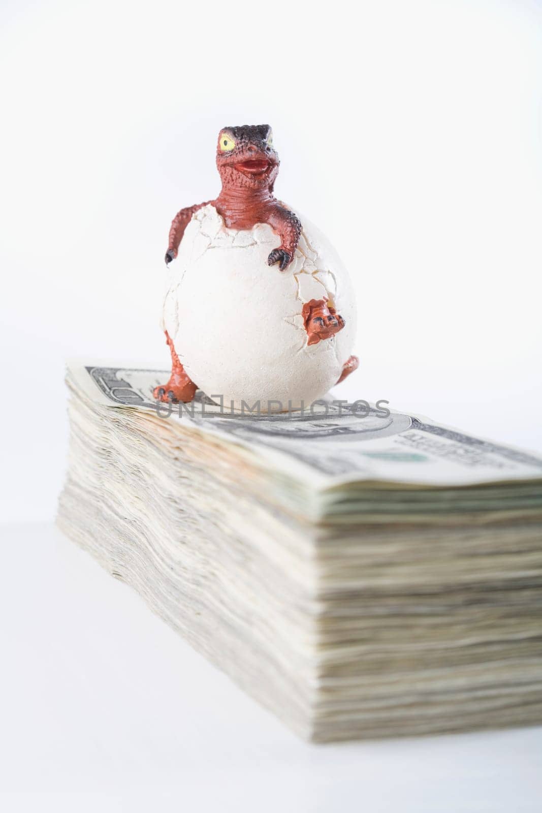 Close_up of a young animal hatching on a bundle of paper currency
