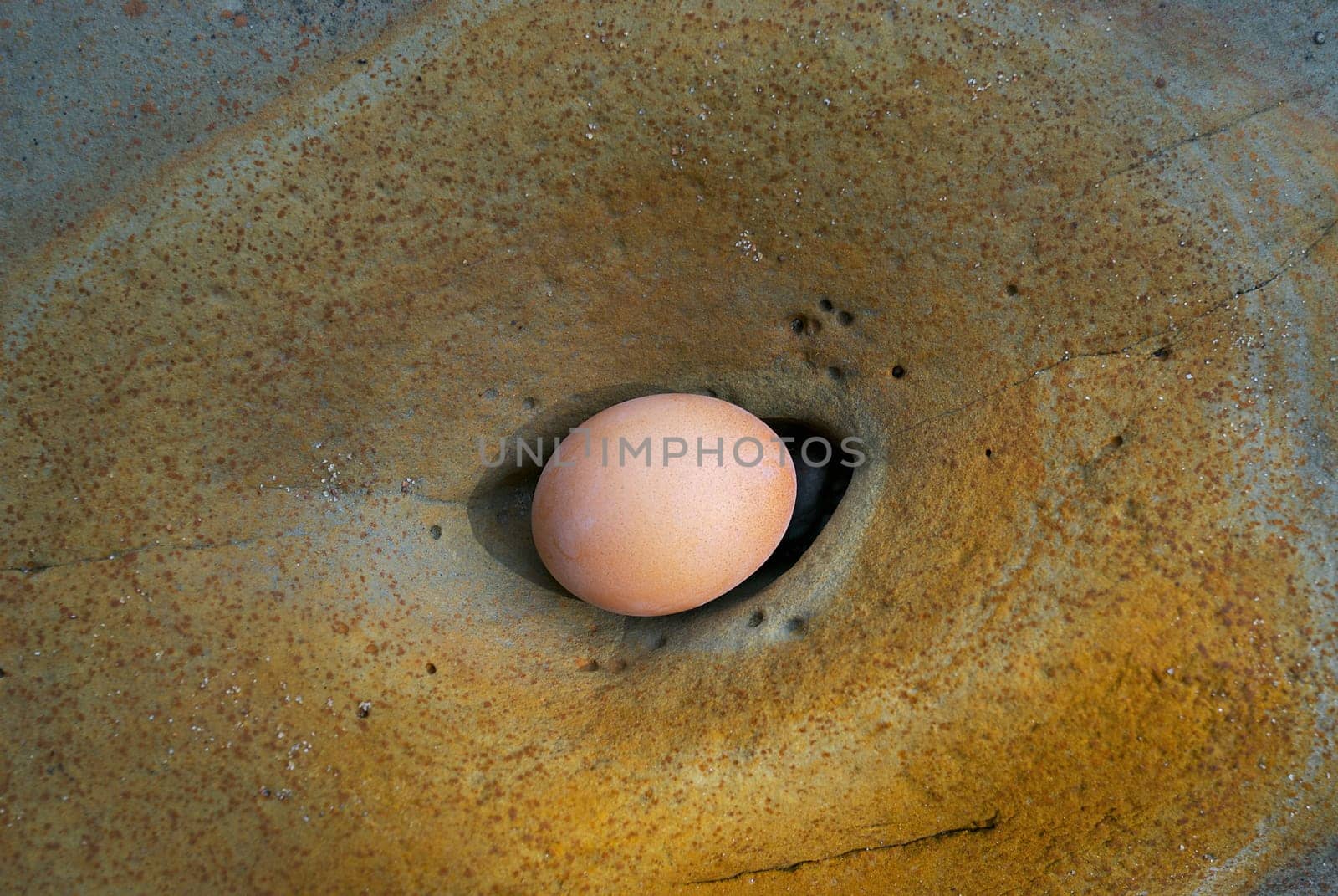 Egg in the hole of a rock