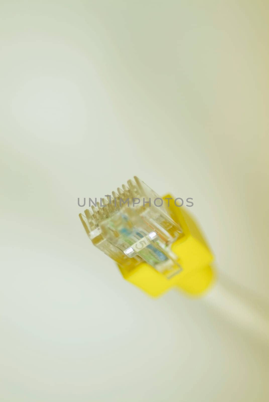 Close-up of a network connection plug