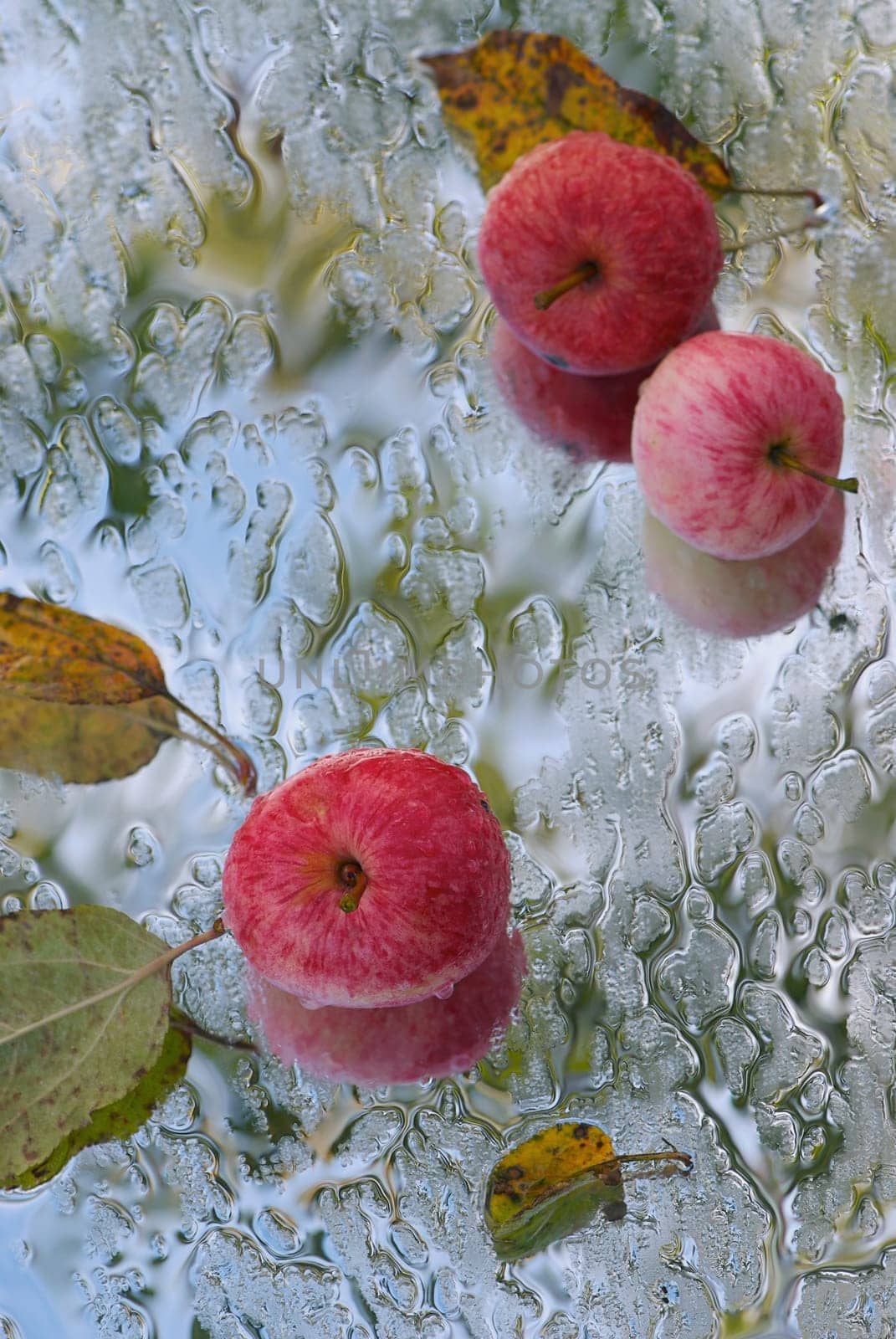 Apples and water droplets on a glass surface