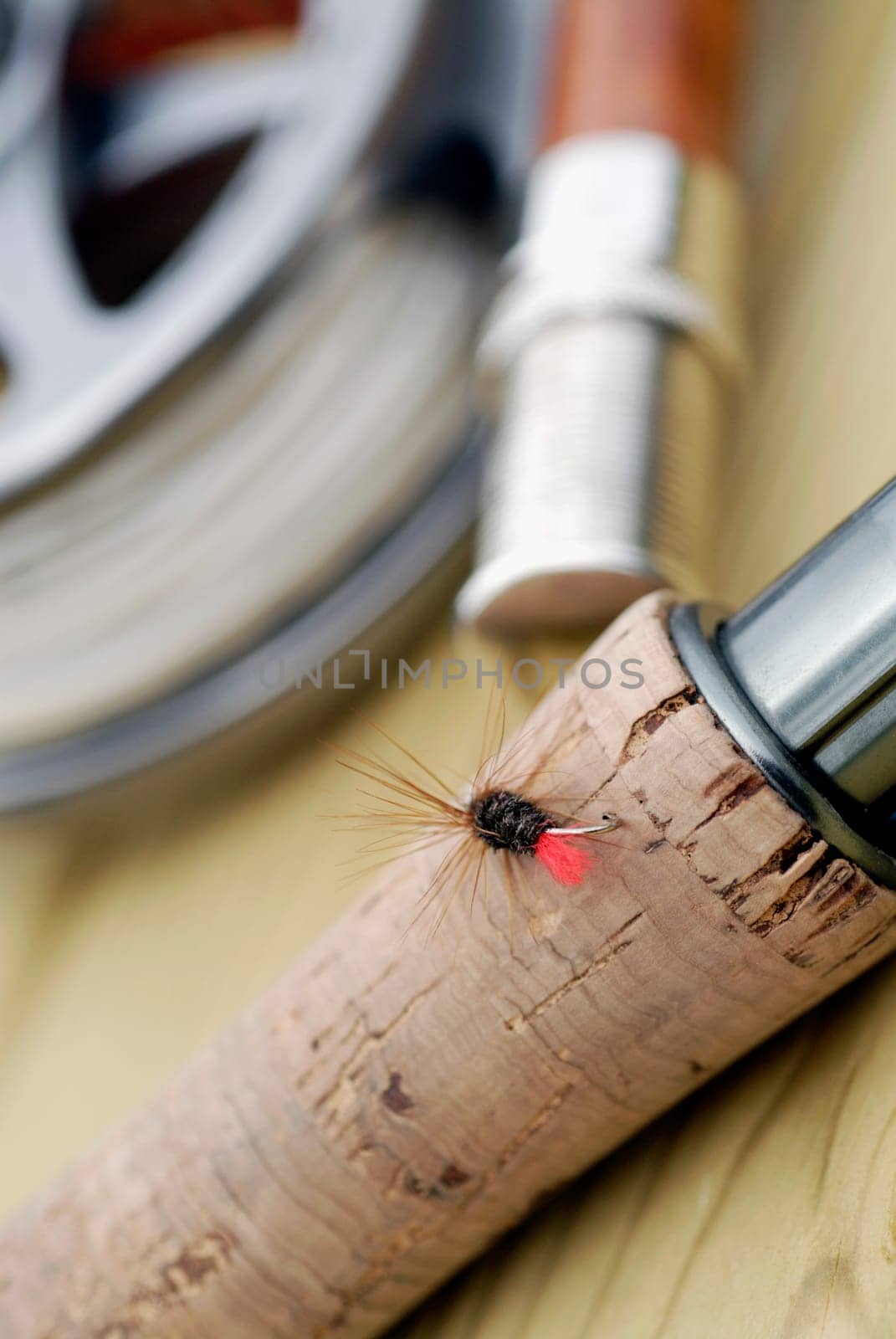 Close-up of a fishing lure on a fishing rod