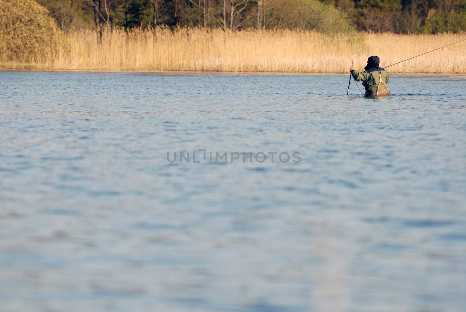 Rear view of a man fishing in the river