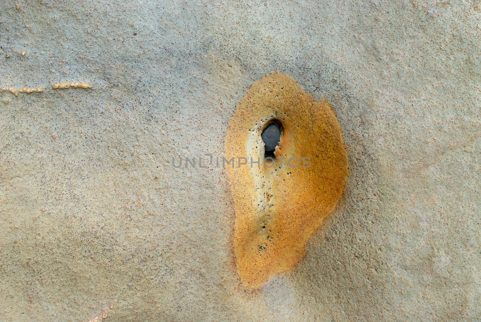Close_up of rock surface