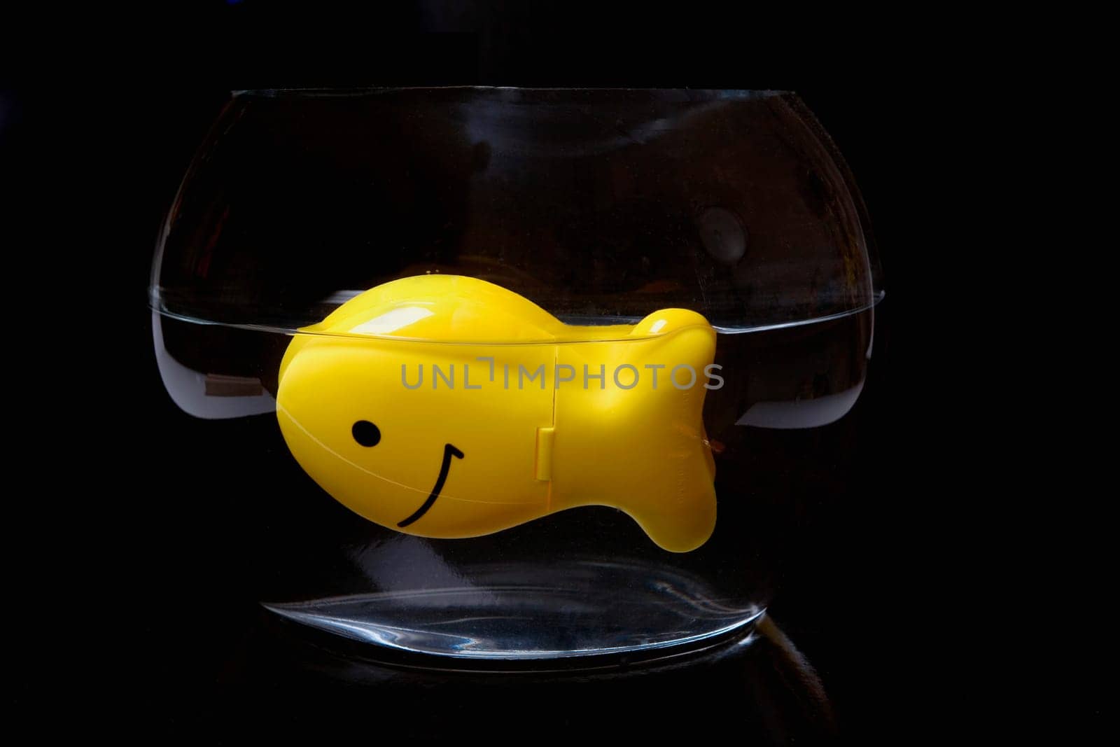 Close-up of a toy fish floating on water