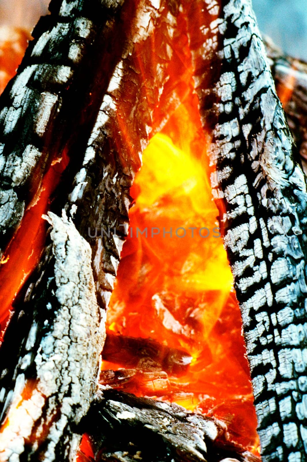 Close-up of a log fire