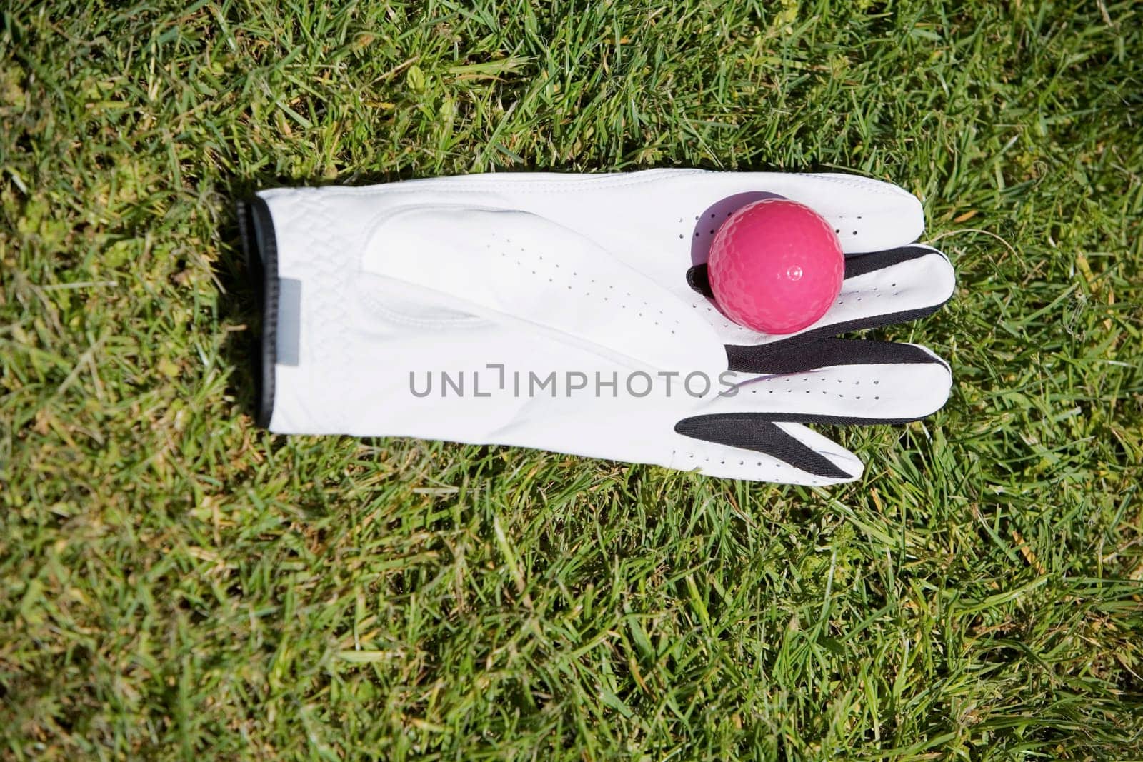 High angle view of a golf ball on a golf glove