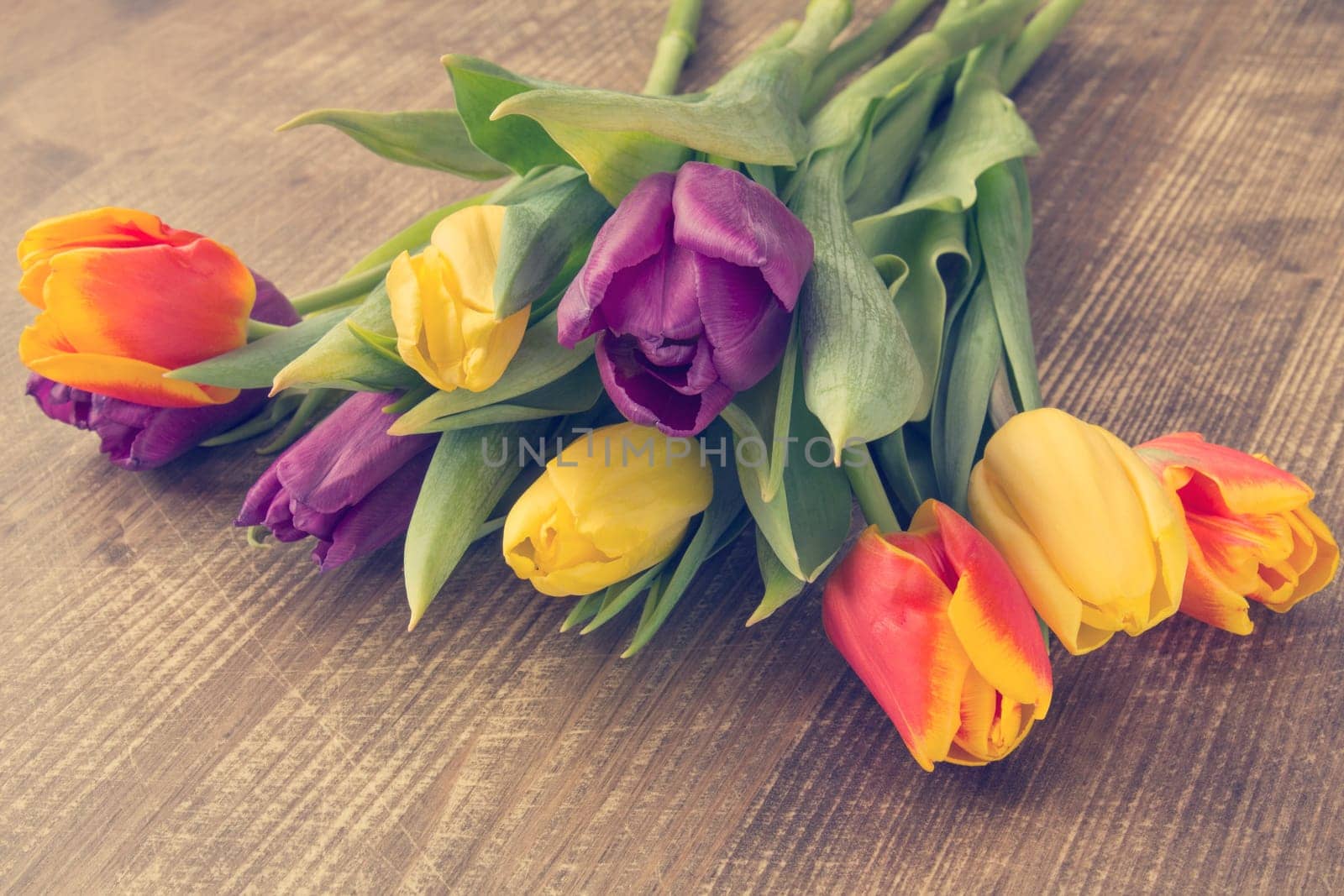 Bouquet of colorful tulips lying on wooden background
