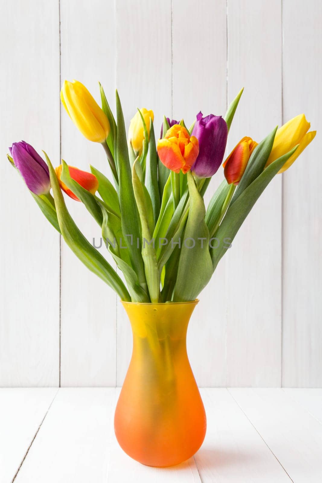 Bouquet of colorful tulips in vase on white wooden background