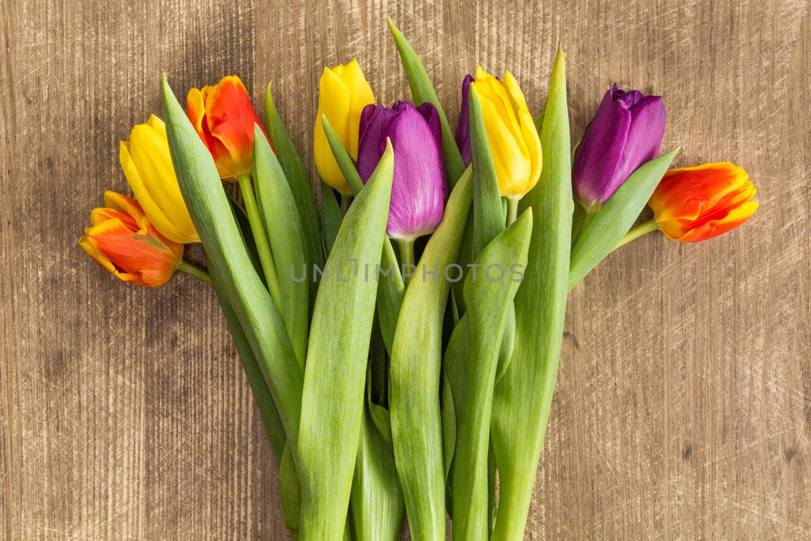 Bouquet of colorful tulips on wooden background