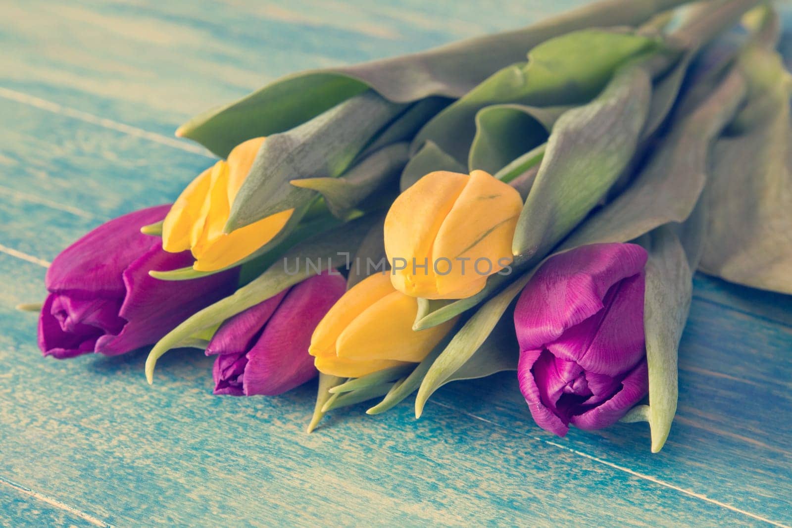 Bouquet of colorful tulips lying on blue wooden background