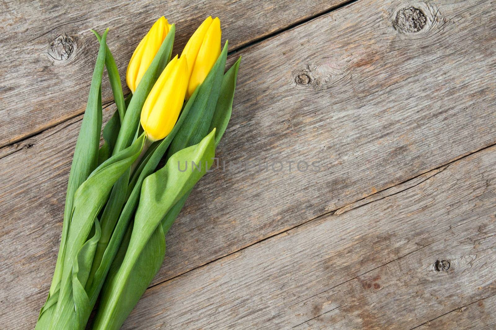 Bouquet of yellow tulips on old wooden background. Copy-space.