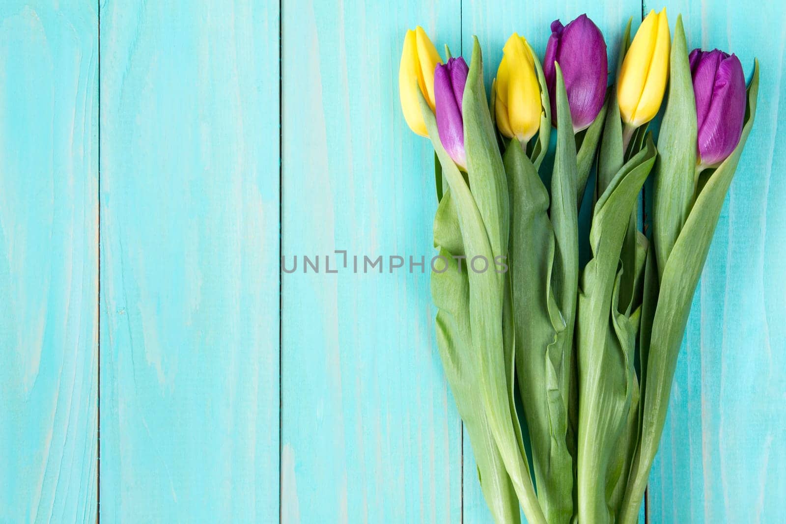 Bouquet of colorful tulips on a blue wooden background. Copy-space.