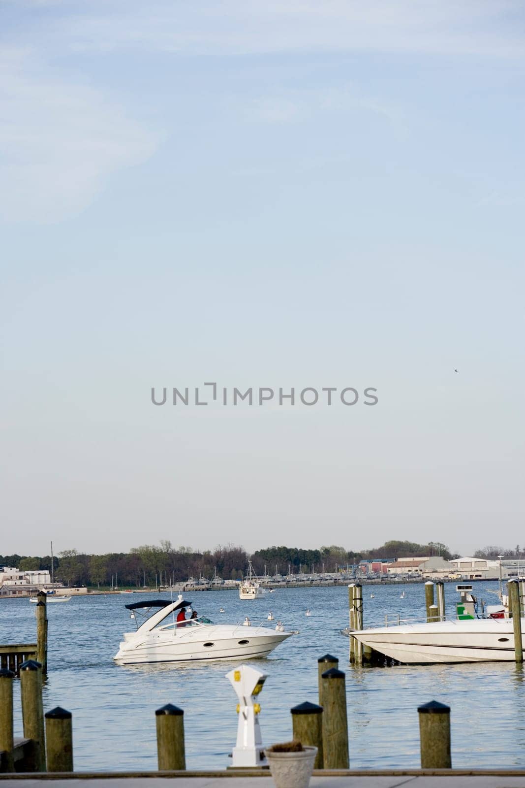Boats in water, Annapolis, Maryland, USA