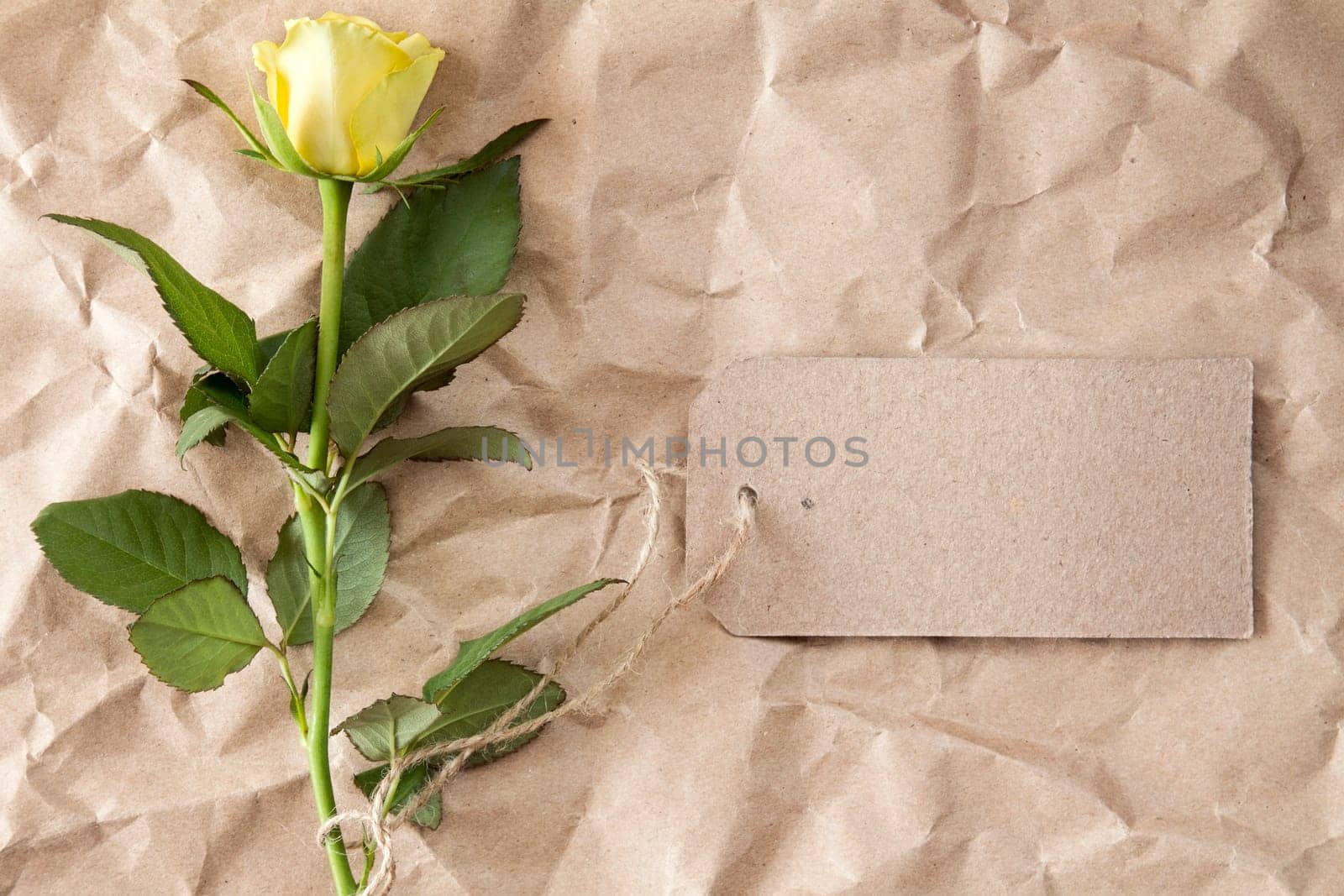 Single yellow rose with blank tag tied with string