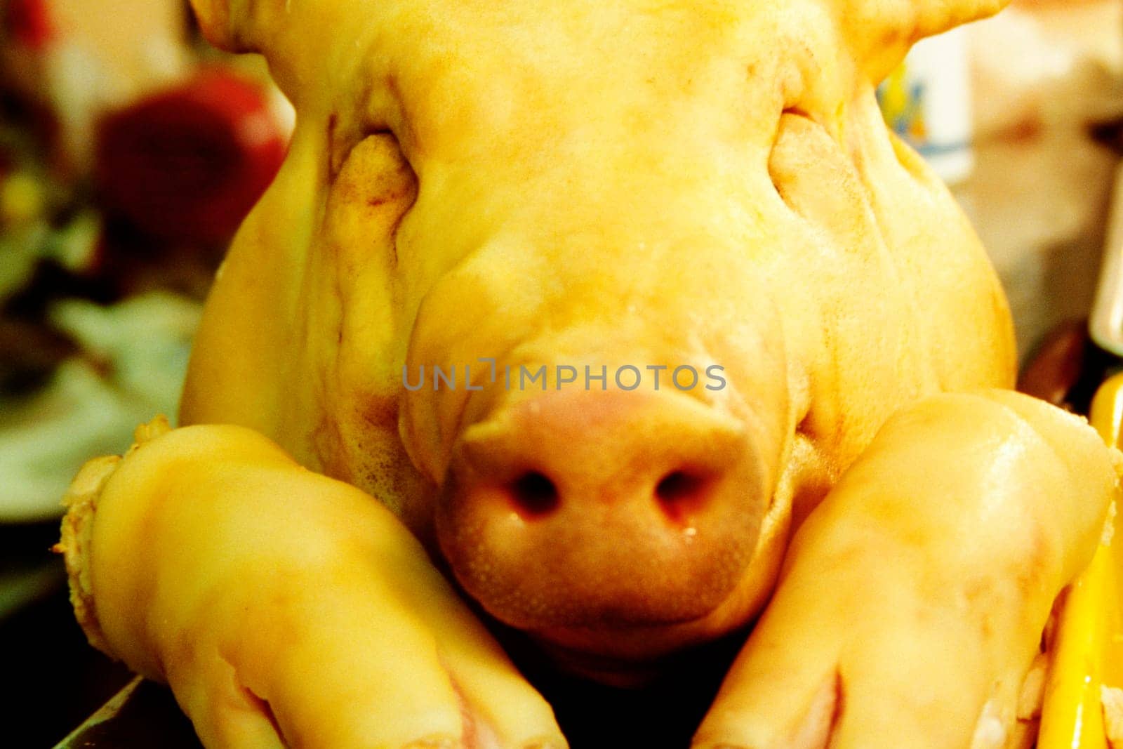 Close-up of a dead pig, Naha, Okinawa, Japan