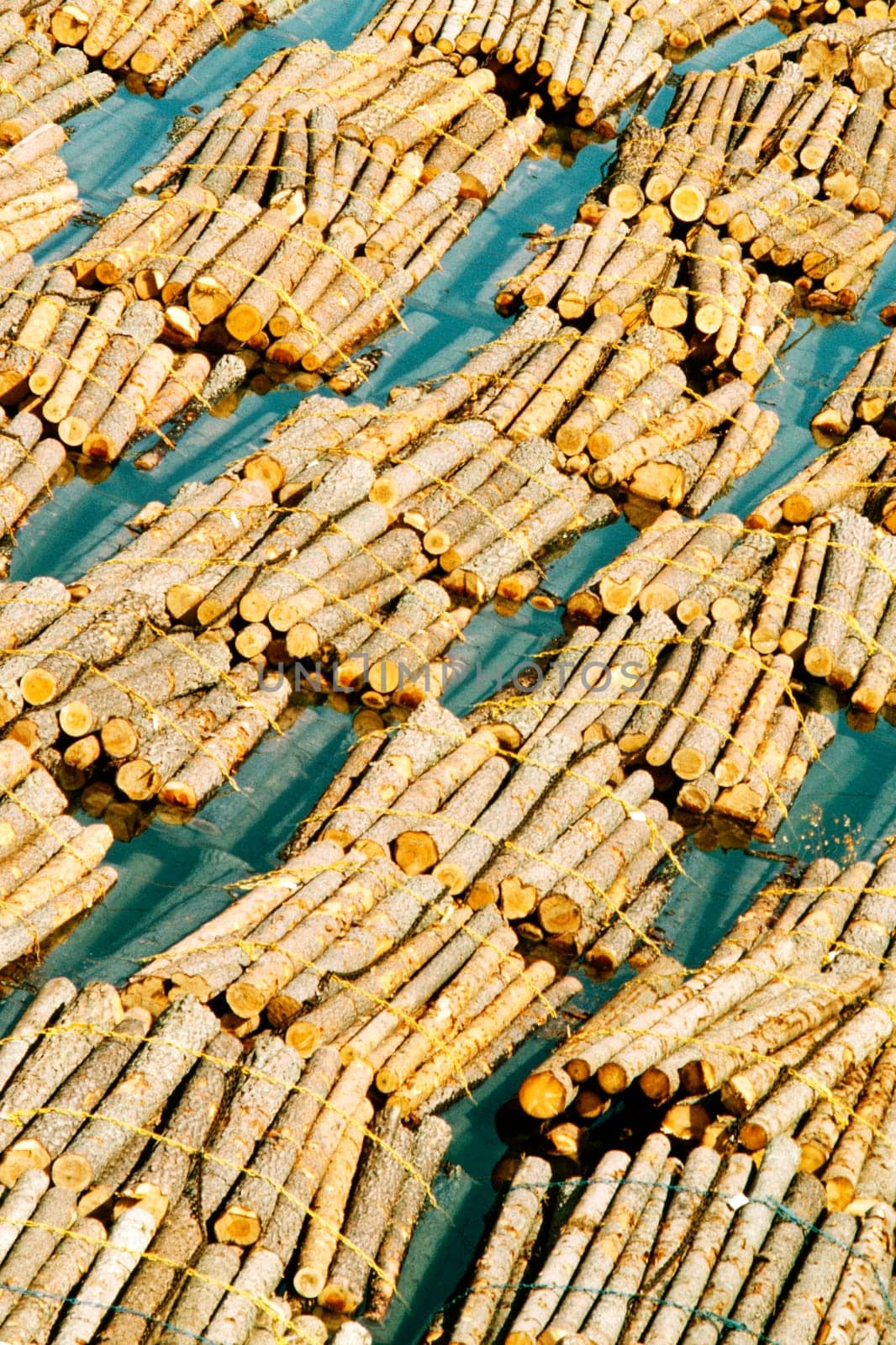 High angle view of logs floating on water, Baltic Sea, Finland