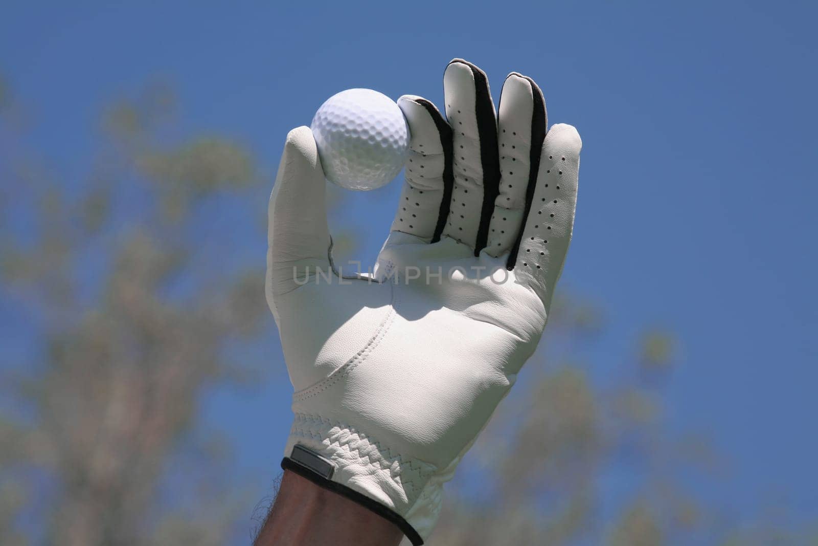 Close-up of a personŽs hand wearing a glove and holding a golf ball