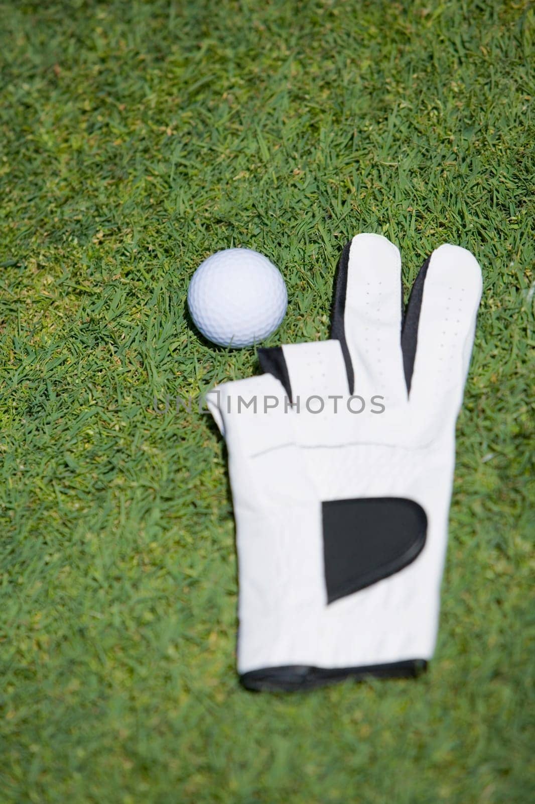 Close-up of a golf ball near a golf glove