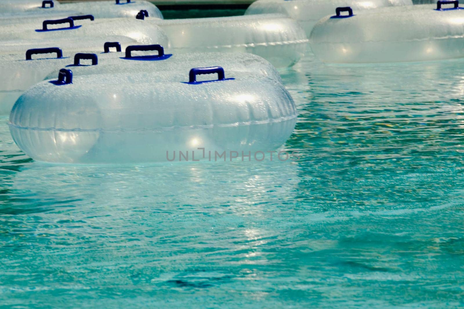 Inflatable rings floating in a pool