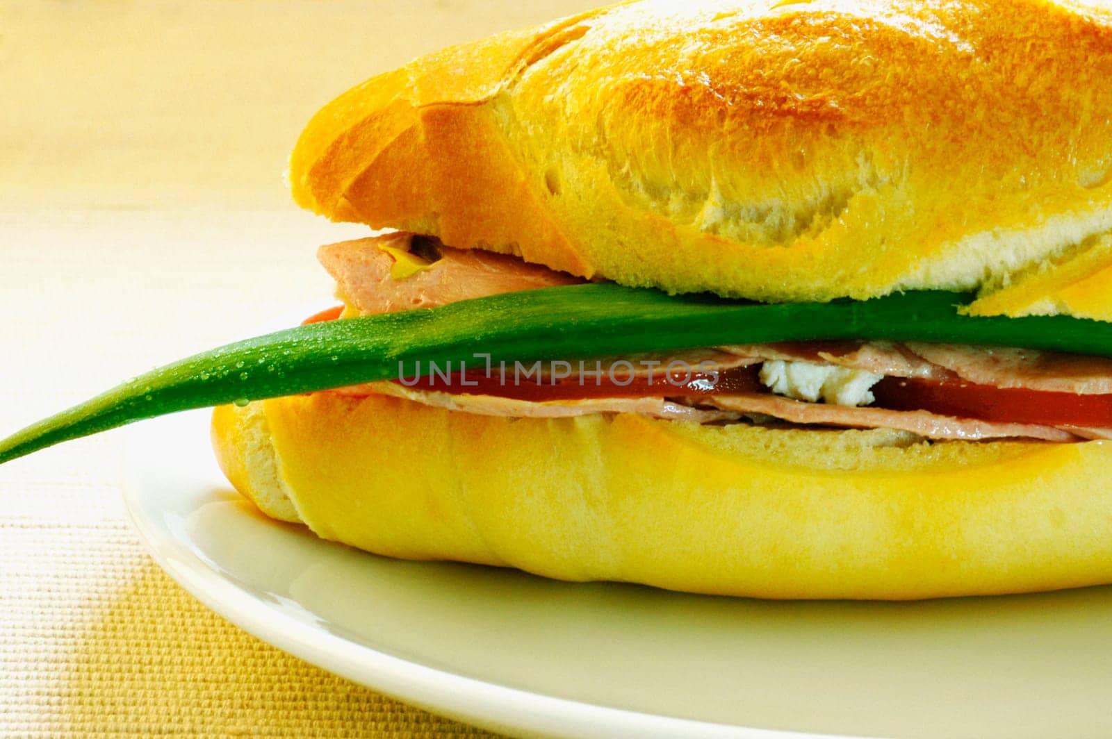 Close-up of a sandwich on a plate
