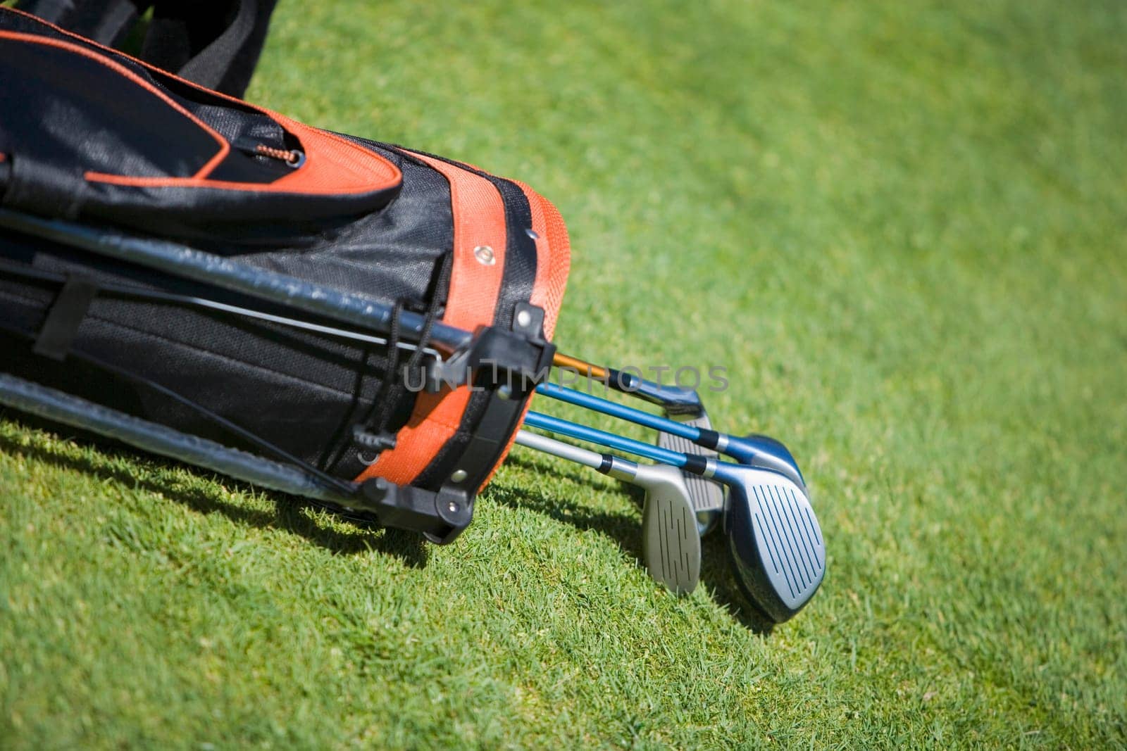 Close-up of golf clubs in a golf bag